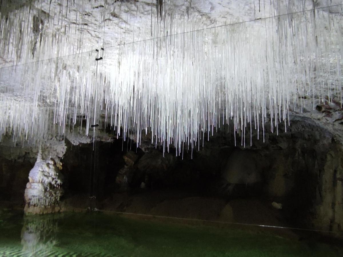 Chambre Genissieux, Vue Sur Vercors エクステリア 写真